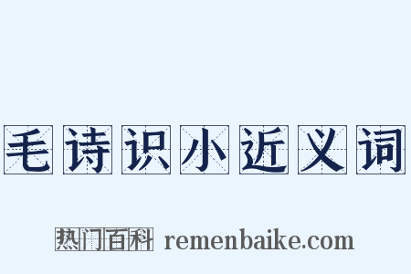 毛诗识小近义词是什么意思的图片